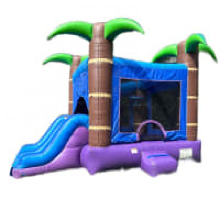 Bounce House W/ Slide Rentals