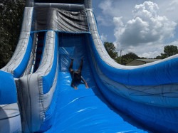 IMG 8092 1754875675 The Abyss (21ft)