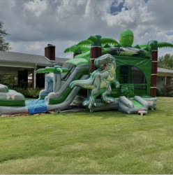 IMG 9647 1759710215 Jurassic Splash Adventure 🦖